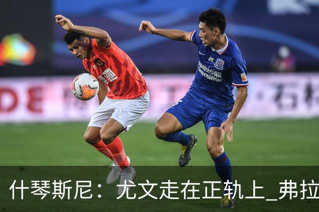 什琴斯尼：尤文走在正轨上 弗拉霍维奇非常出色