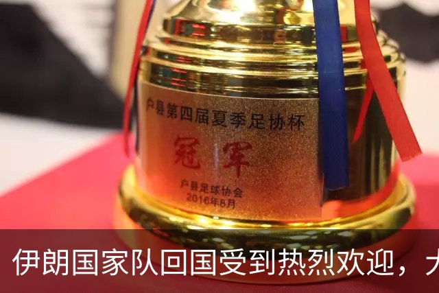 伊朗国家队回国受到热烈欢迎，大批球迷接机